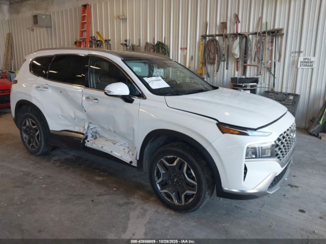 2022 HYUNDAI SANTA FE HYBRID KM8S3DA19NU051426