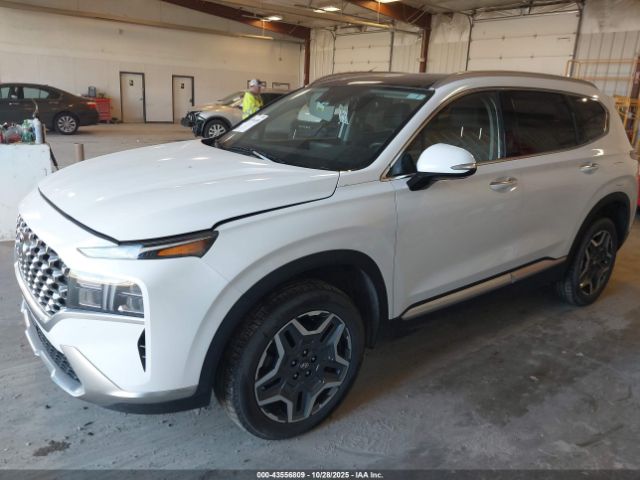 2022 HYUNDAI SANTA FE HYBRID KM8S3DA19NU051426 Photo 1