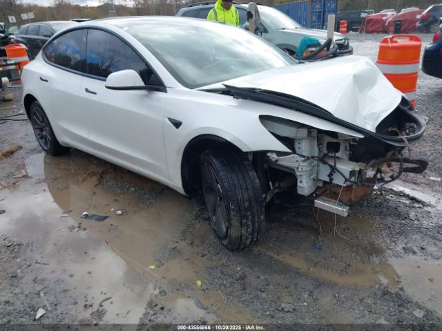 2021 TESLA MODEL 3 5YJ3E1EC2MF062658 Photo 0