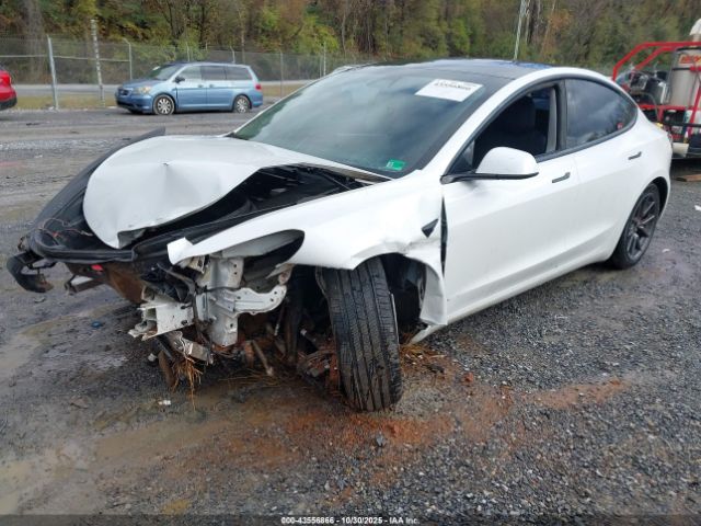 2021 TESLA MODEL 3 5YJ3E1EC2MF062658 Photo 1