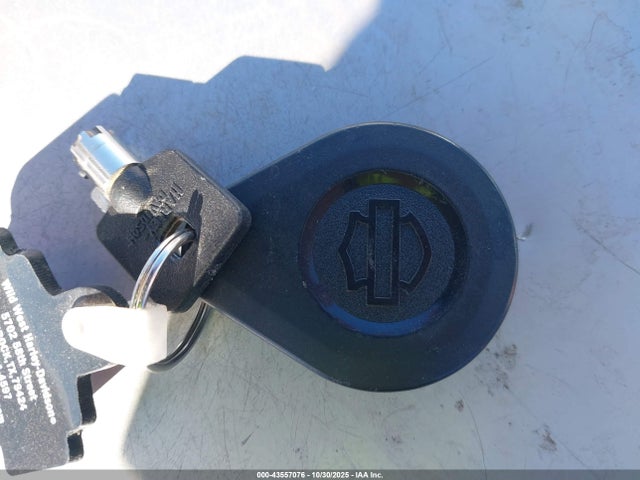 2023 HARLEY-DAVIDSON FLHTKANV 1HD1AGF16PB633349 Photo 10