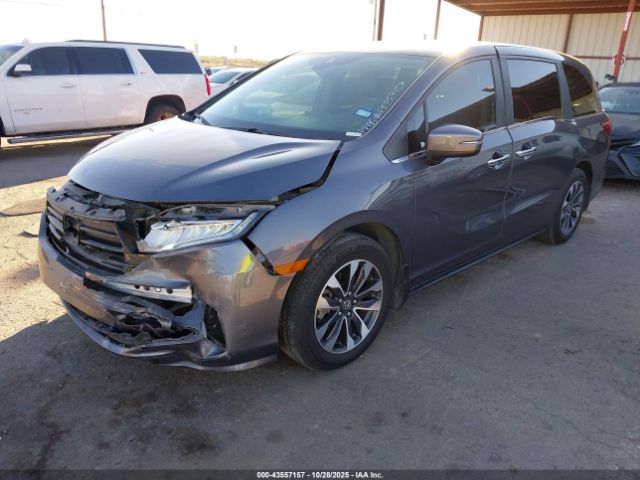2024 HONDA ODYSSEY 5FNRL6H61RB073645 Photo 1