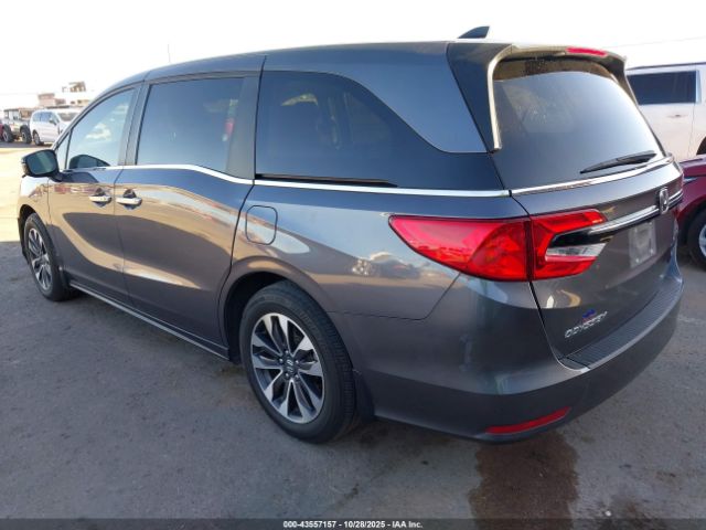 2024 HONDA ODYSSEY 5FNRL6H61RB073645 Photo 2