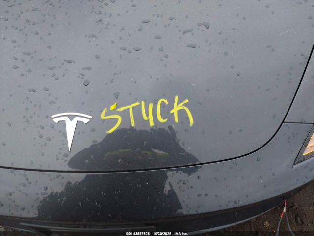 2025 TESLA MODEL 3 5YJ3E1EA1SF018761 Photo 9