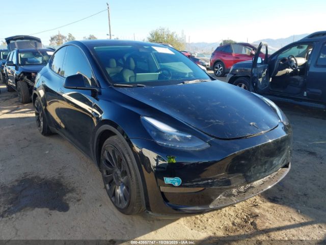 2023 TESLA MODEL Y 7SAYGDEF9PF833099 Photo 0