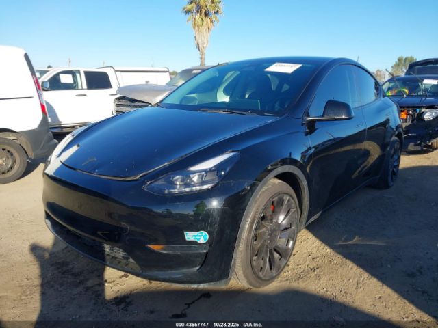 2023 TESLA MODEL Y 7SAYGDEF9PF833099 Photo 1