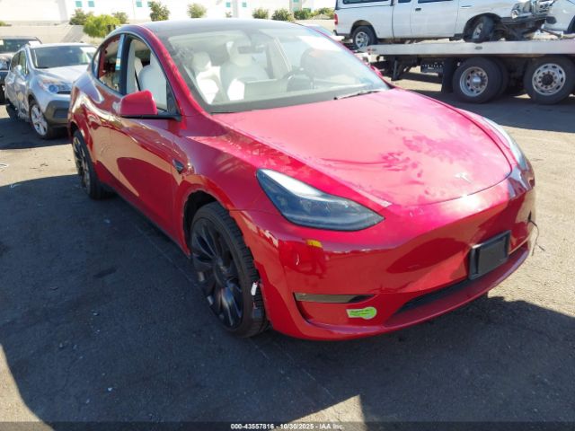 2023 TESLA MODEL Y 7SAYGDEF2PF700068 Photo 0
