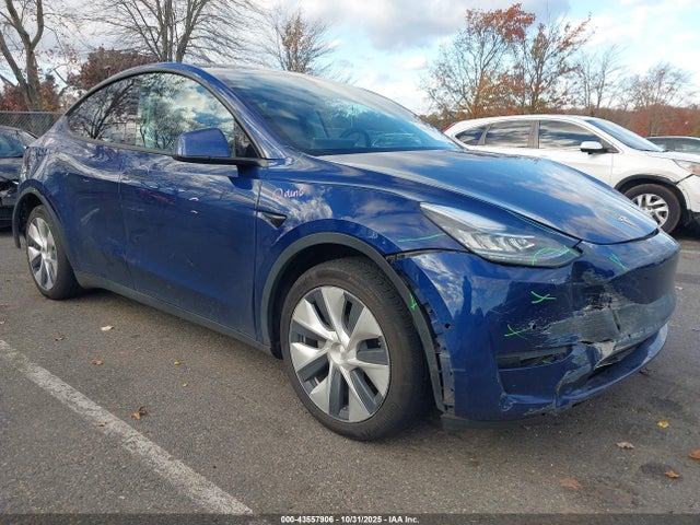2021 TESLA MODEL Y 5YJYGDEE2MF299461 Photo 0