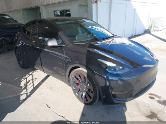 2024 TESLA MODEL Y 7SAYGDEF7RF041987