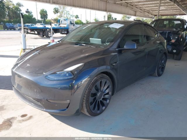 2024 TESLA MODEL Y 7SAYGDEF7RF041987 Photo 1