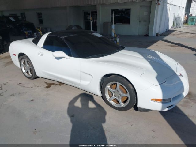 1997 CHEVROLET CORVETTE 1G1YY22GXV5103401