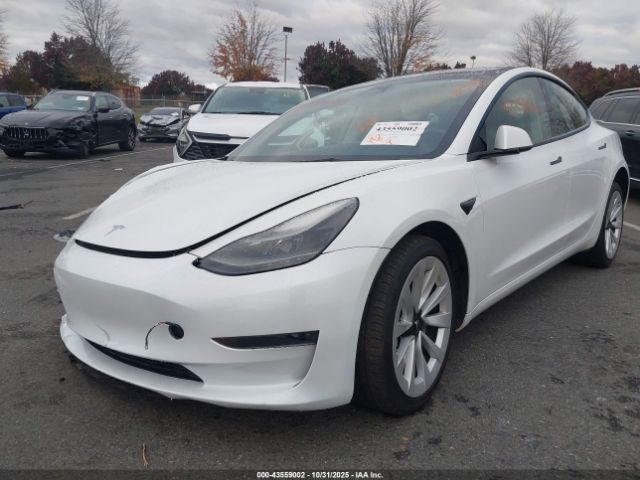 2023 TESLA MODEL 3 5YJ3E1EA9PF468438 Photo 1