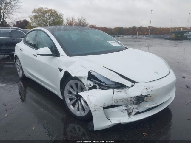 2023 TESLA MODEL 3 5YJ3E1EA9PF468438 Photo 5