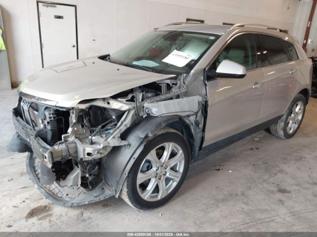 2011 CADILLAC SRX 3GYFNCEY9BS587980 Photo 1