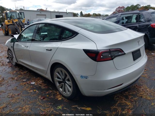 2021 TESLA MODEL 3 5YJ3E1EAXMF020558 Photo 2