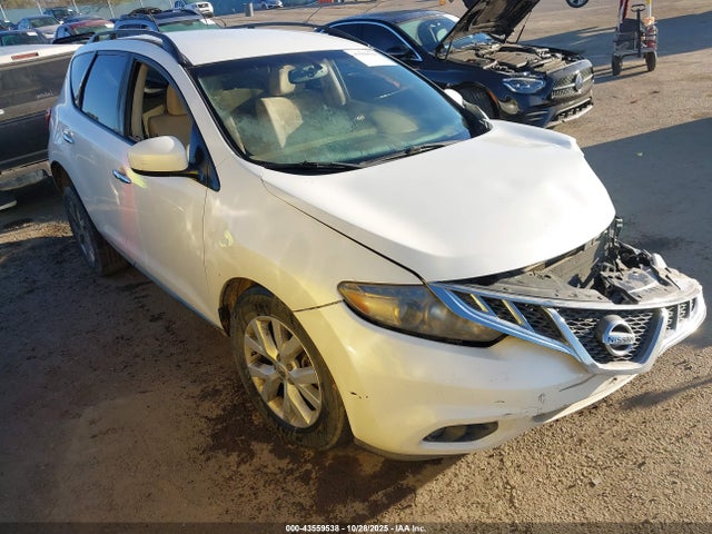 2013 NISSAN MURANO JN8AZ1MW6DW303046