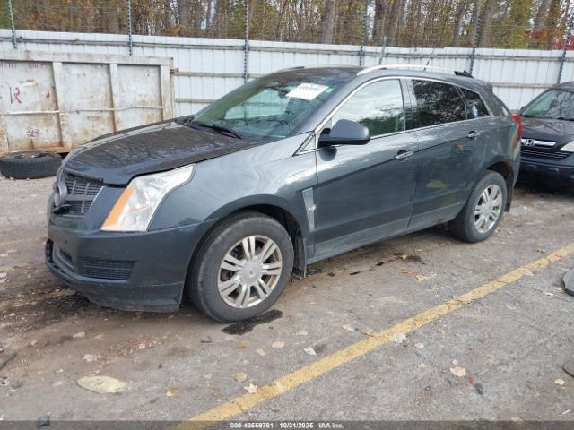 2010 CADILLAC SRX 3GYFNDEY2AS639406 Photo 1