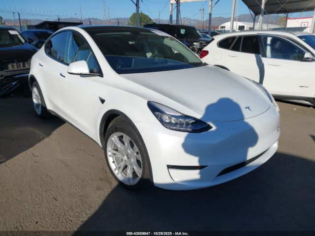 2023 TESLA MODEL Y 7SAYGDEE3PA039610 Photo 0