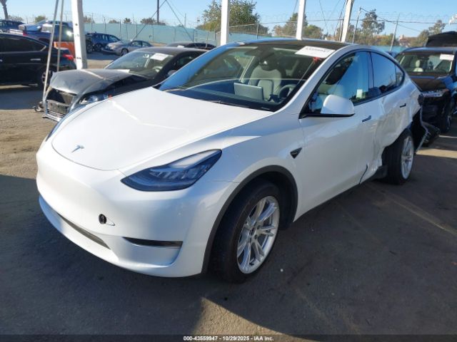 2023 TESLA MODEL Y 7SAYGDEE3PA039610 Photo 1