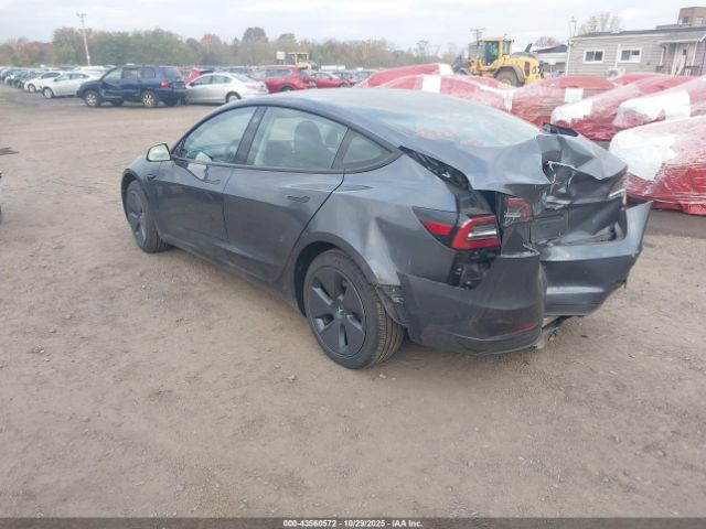 2023 TESLA MODEL 3 5YJ3E1EA9PF668512 Photo 2