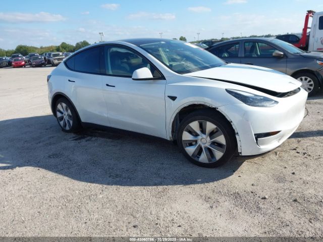2023 TESLA MODEL Y 7SAYGDED4PF931973