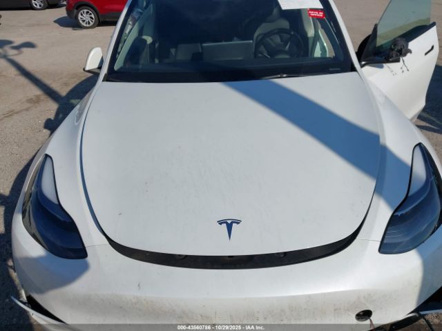 2023 TESLA MODEL Y 7SAYGDED4PF931973 Photo 9