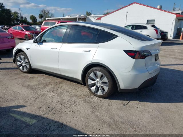 2023 TESLA MODEL Y 7SAYGDED4PF931973 Photo 2