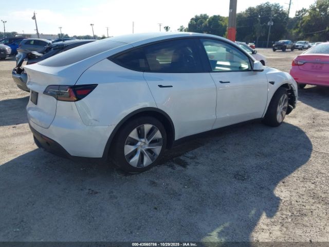 2023 TESLA MODEL Y 7SAYGDED4PF931973 Photo 3