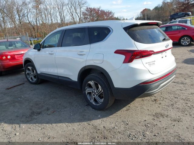 2022 HYUNDAI SANTA FE 5NMS1DAJ3NH400677 Photo 2