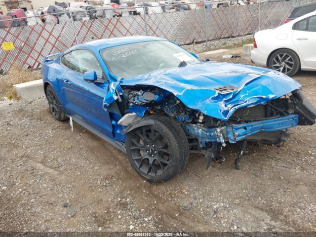 2019 FORD MUSTANG 1FA6P8TH6K5133850