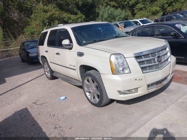 2011 CADILLAC ESCALADE 1GYS3BEF3BR374779