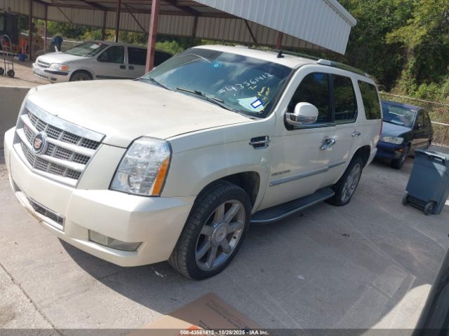 2011 CADILLAC ESCALADE 1GYS3BEF3BR374779 Photo 1