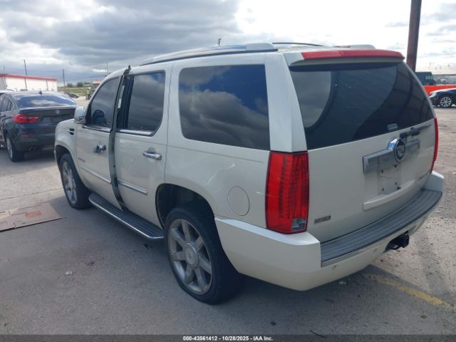2011 CADILLAC ESCALADE 1GYS3BEF3BR374779 Photo 2