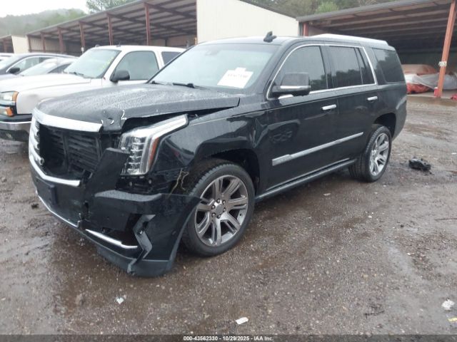 2016 CADILLAC ESCALADE 1GYS4CKJ9GR140892 Photo 1