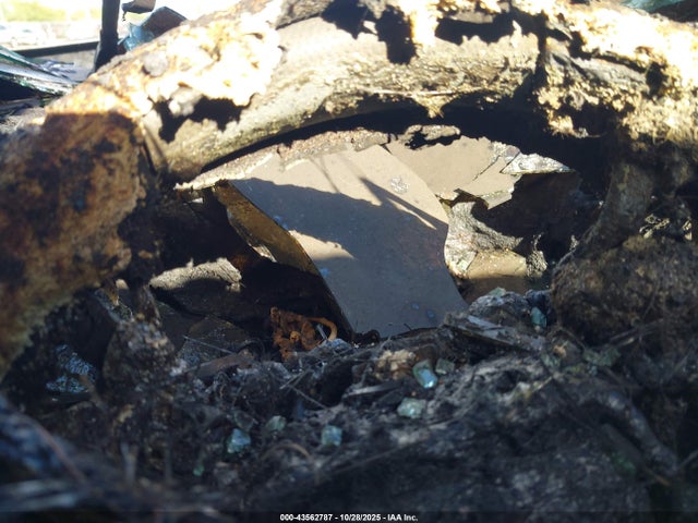 2019 TOYOTA TACOMA 3TMCZ5AN1KM211394 Photo 6