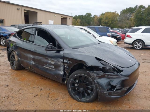 2024 TESLA MODEL Y 7SAYGDEDXRF091832