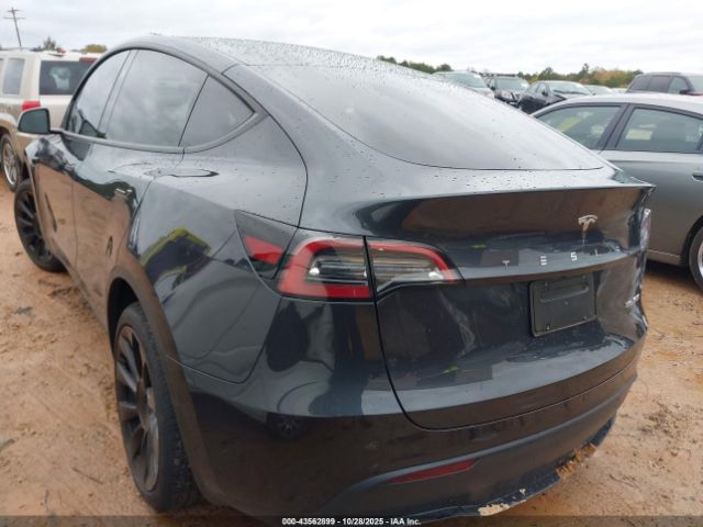 2024 TESLA MODEL Y 7SAYGDEDXRF091832 Photo 2