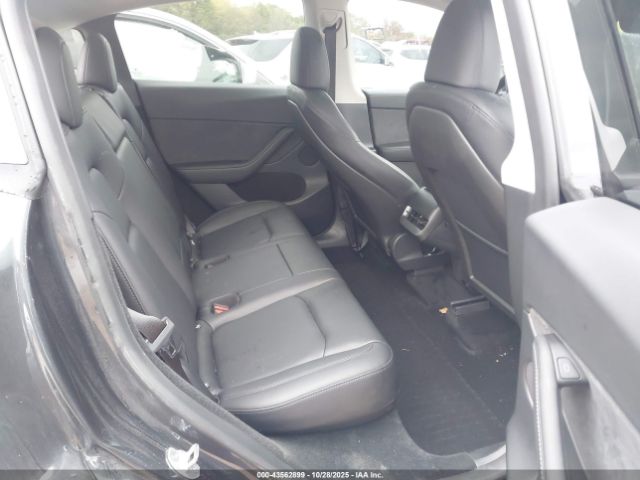 2024 TESLA MODEL Y 7SAYGDEDXRF091832 Photo 7