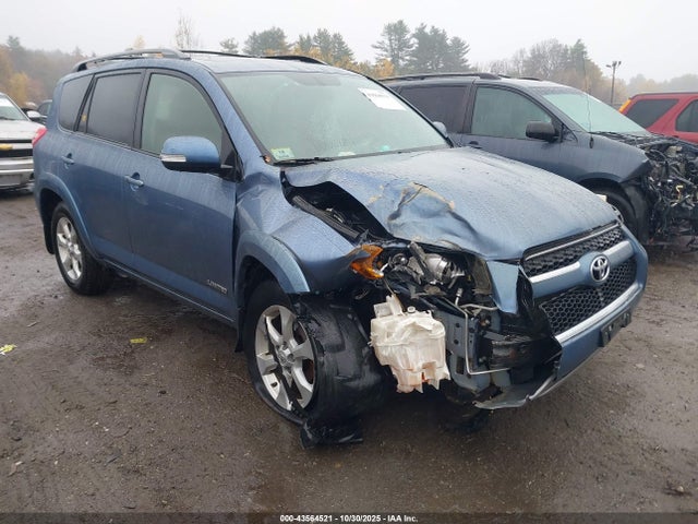 2009 TOYOTA RAV4 JTMBF31V29D010439