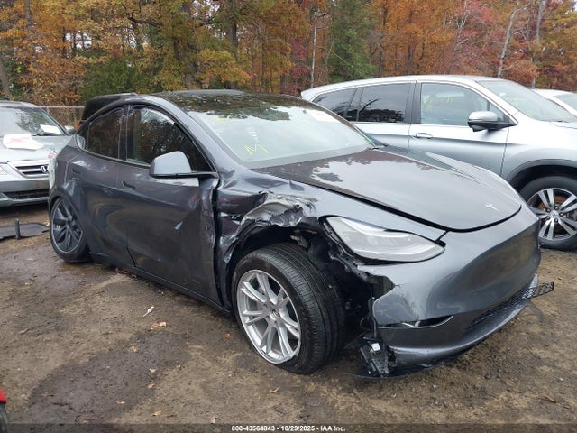 2023 TESLA MODEL Y 7SAYGDEE8PA176641 Photo 0