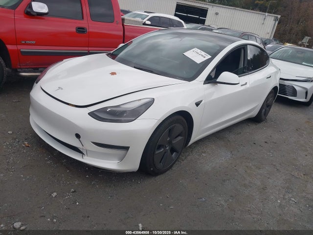 2023 TESLA MODEL 3 5YJ3E1EA2PF598433 Photo 1