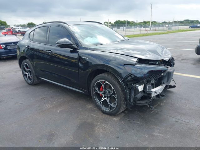 2024 ALFA ROMEO STELVIO ZASPAKBN4R7D70881