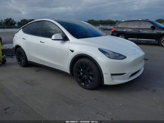 2020 TESLA MODEL Y 5YJYGDEE7LF056212