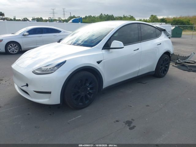 2020 TESLA MODEL Y 5YJYGDEE7LF056212 Photo 1