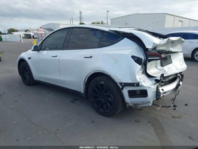 2020 TESLA MODEL Y 5YJYGDEE7LF056212 Photo 2