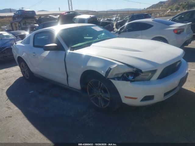 2010 FORD MUSTANG 1ZVBP8AN3A5123547