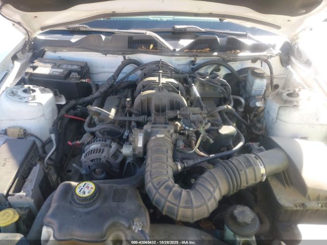 2010 FORD MUSTANG 1ZVBP8AN3A5123547 Photo 9