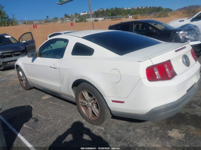 2010 FORD MUSTANG 1ZVBP8AN3A5123547 Photo 2
