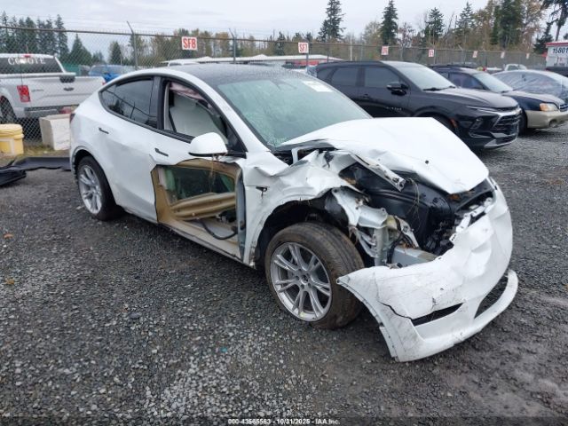 2023 TESLA MODEL Y 7SAYGDEE9PF630169 Photo 0