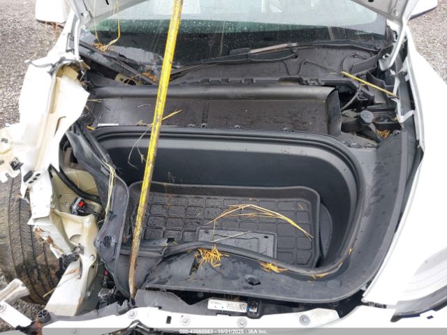 2023 TESLA MODEL Y 7SAYGDEE9PF630169 Photo 9